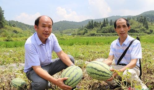 三码中一码精选